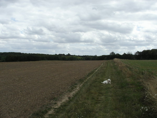 Champignolles, ma balade préférée. 20050826%20030