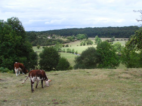 Champignolles, ma balade préférée. 20050826%20048