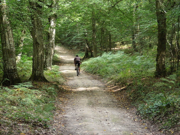 Le Catenay, balade réussie cette fois 20050902%20018