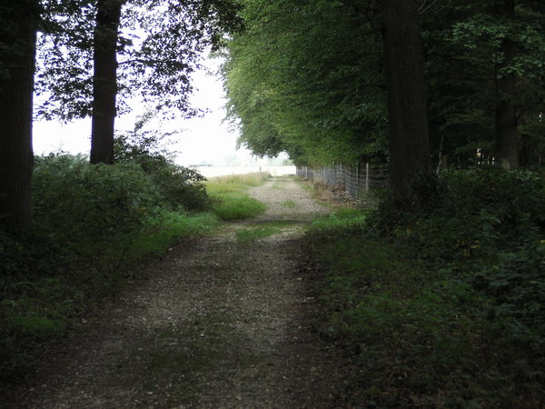 Le Catenay, balade réussie cette fois 20050902%20023