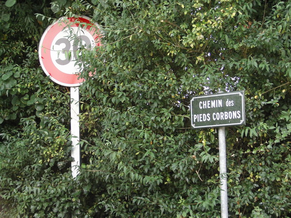 Le Catenay, balade réussie cette fois 20050902%20059