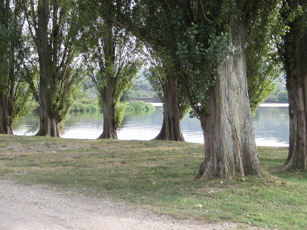 Le Catenay, balade réussie cette fois 20050902%20083