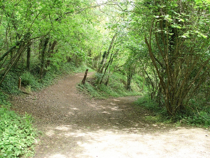 Les coteaux de Giverny 20060519_043