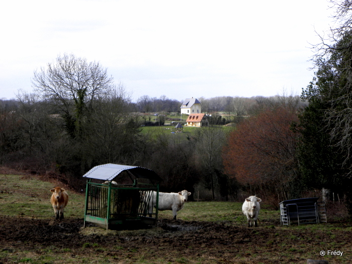 Mélicourt, le Buisson Cornu 20100321_003