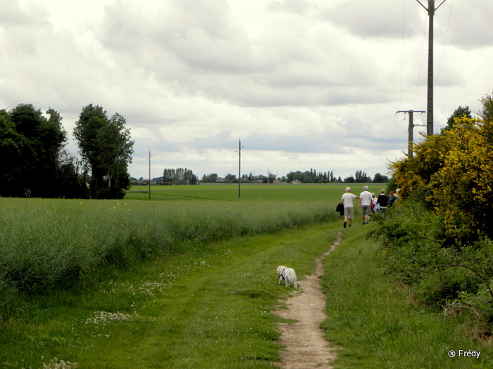 Saint Aubin d'Ecrosville 20100609_016