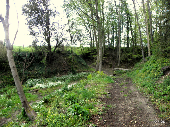 Saint-Grégoire du Vièvre 20120507_019